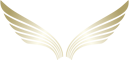 Auto Lux Venice